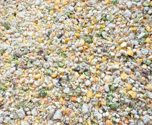 Why I Developed Uro Grit: Rethinking Seeds, Roughage, and Natural Diets for Herbivorous Reptiles