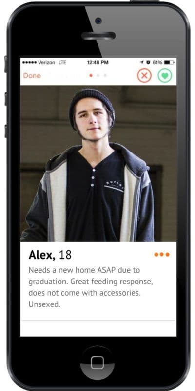 What if Tinder Profiles Were Like Reptile Ads?
