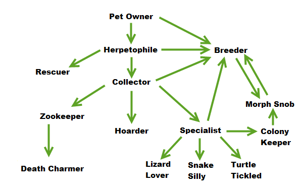 The 14 Reptile Keeper Types