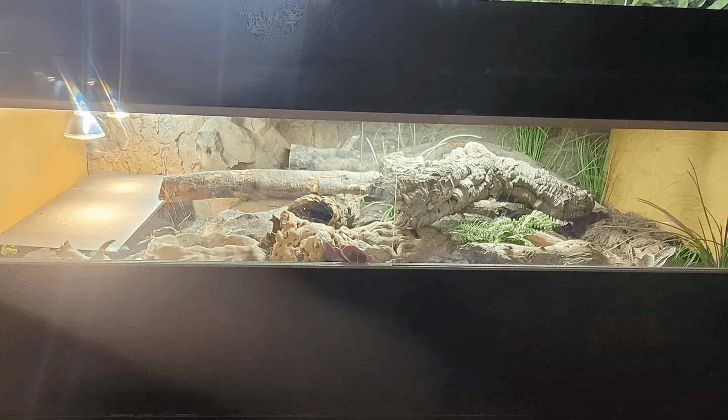 ackie enclosure