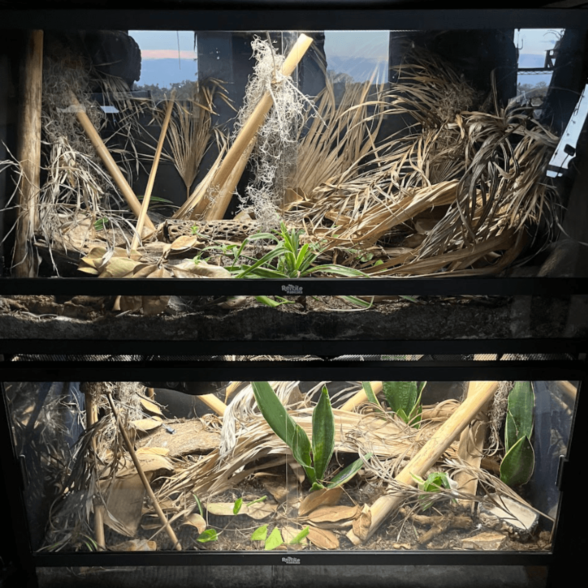 Series of reptile enclosures.