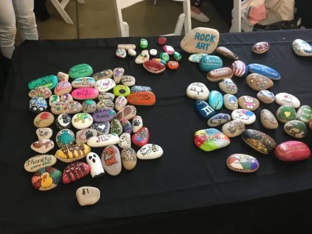 Pet rocks