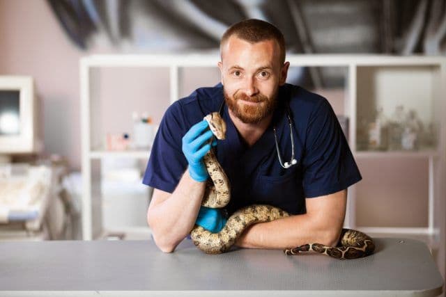 7 Pro Tips for Keeping Your Reptile Healthy