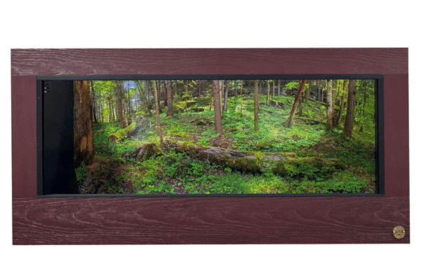 Product Review: Toad Ranch Luxury Reptile Habitats 4’ x 3’ x 2’ Reptile Enclosure with Dimensions Background