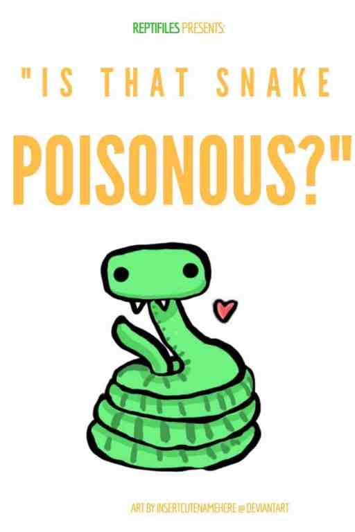 How to Tell if a Snake is “Poisonous”