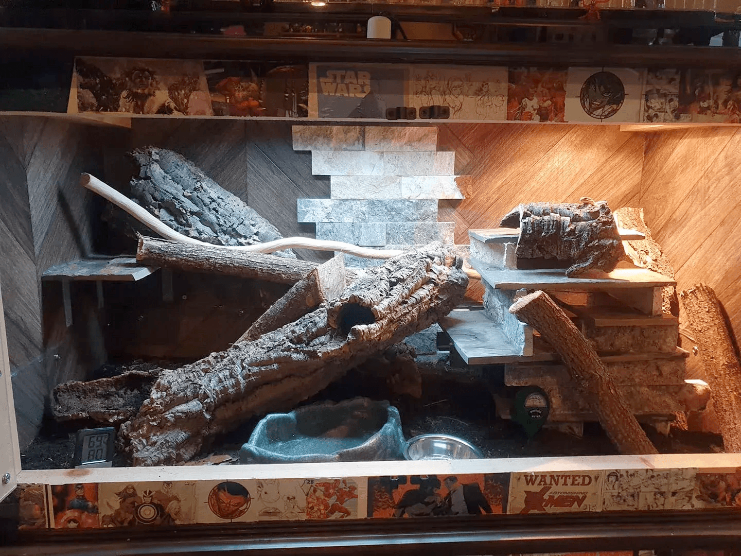 ackie enclosure