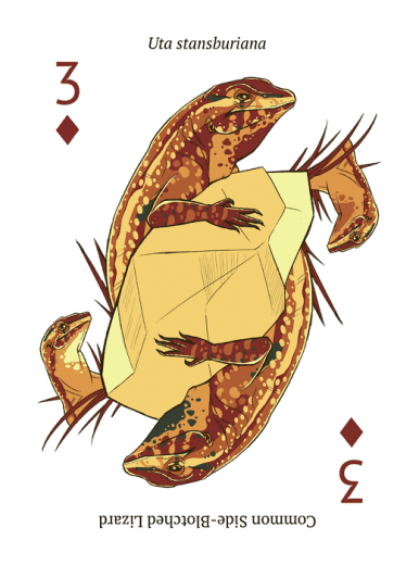 gifts for reptile lovers 2019 - reptile playing cards
