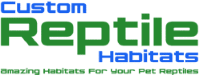 What Makes ReptiFiles Care Guides the BEST?