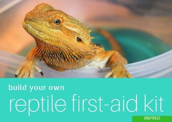 How to Build a Reptile First-Aid Kit