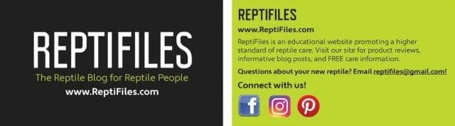 Wasatch Reptile Expo 2017 — Spring’s Top 10