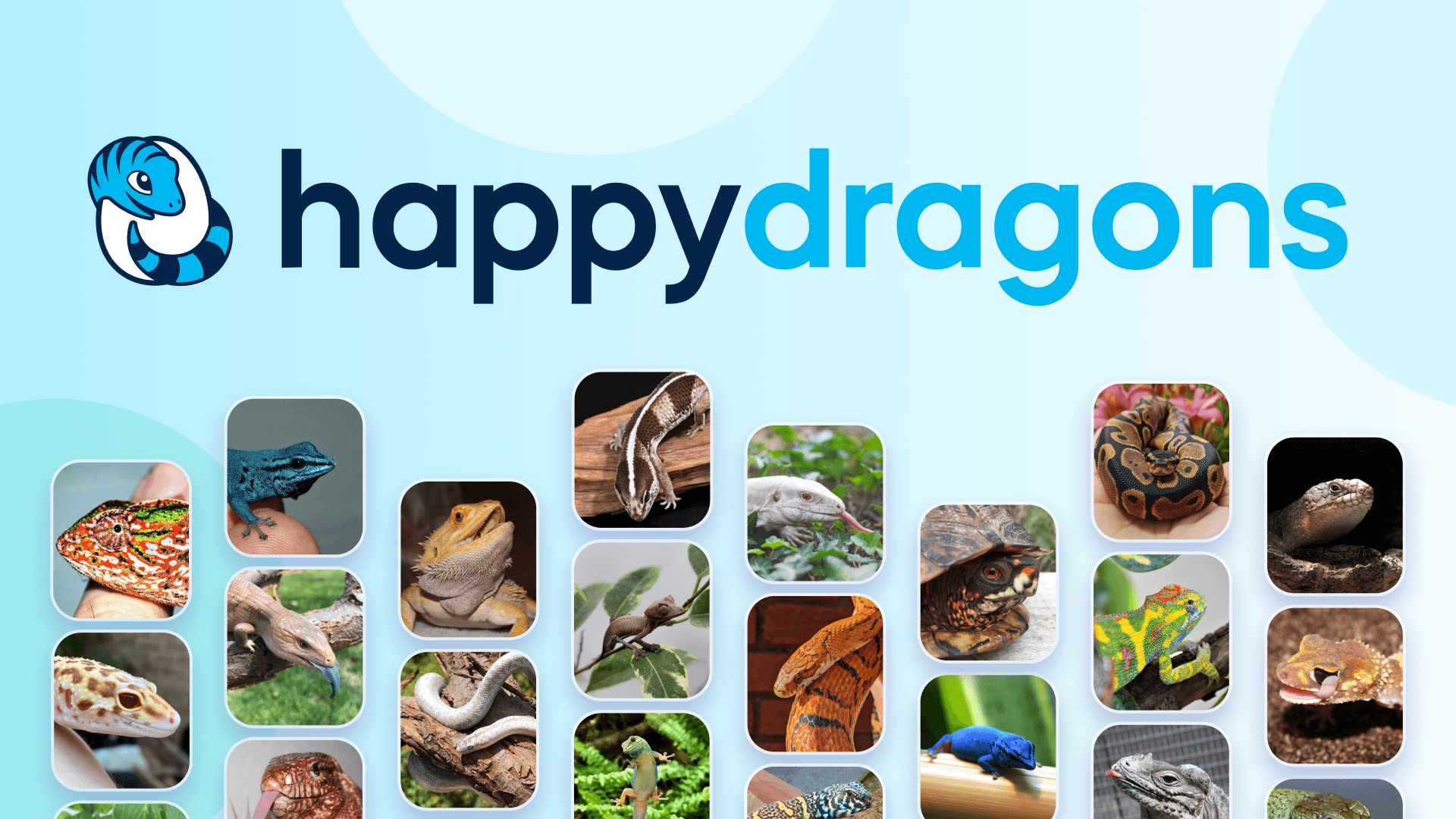 ReptiFiles is Partnered with HappyDragons!