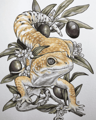 leopard gecko art - V Steiner Art
