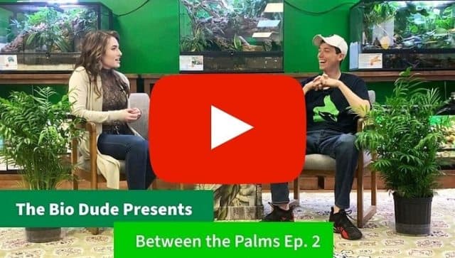 YOUTUBE – Talking with The Bio Dude About ReptiFiles!