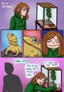Should I Buy a Reptile from Petco/PetSmart?