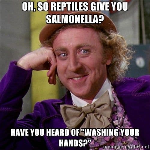 Reptiles and Salmonella: Should You Be Worried?