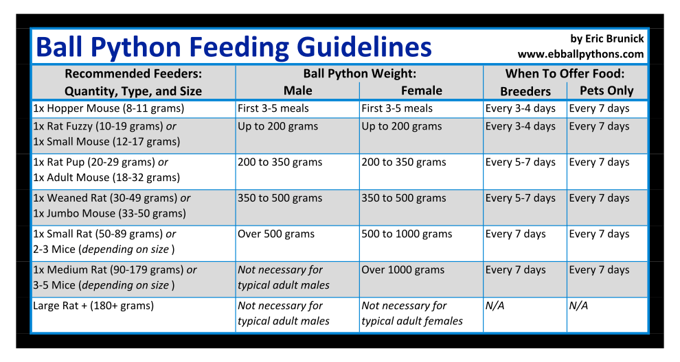 Ball Python Feeding Tips | ReptiFiles' Ball Python Care Guide