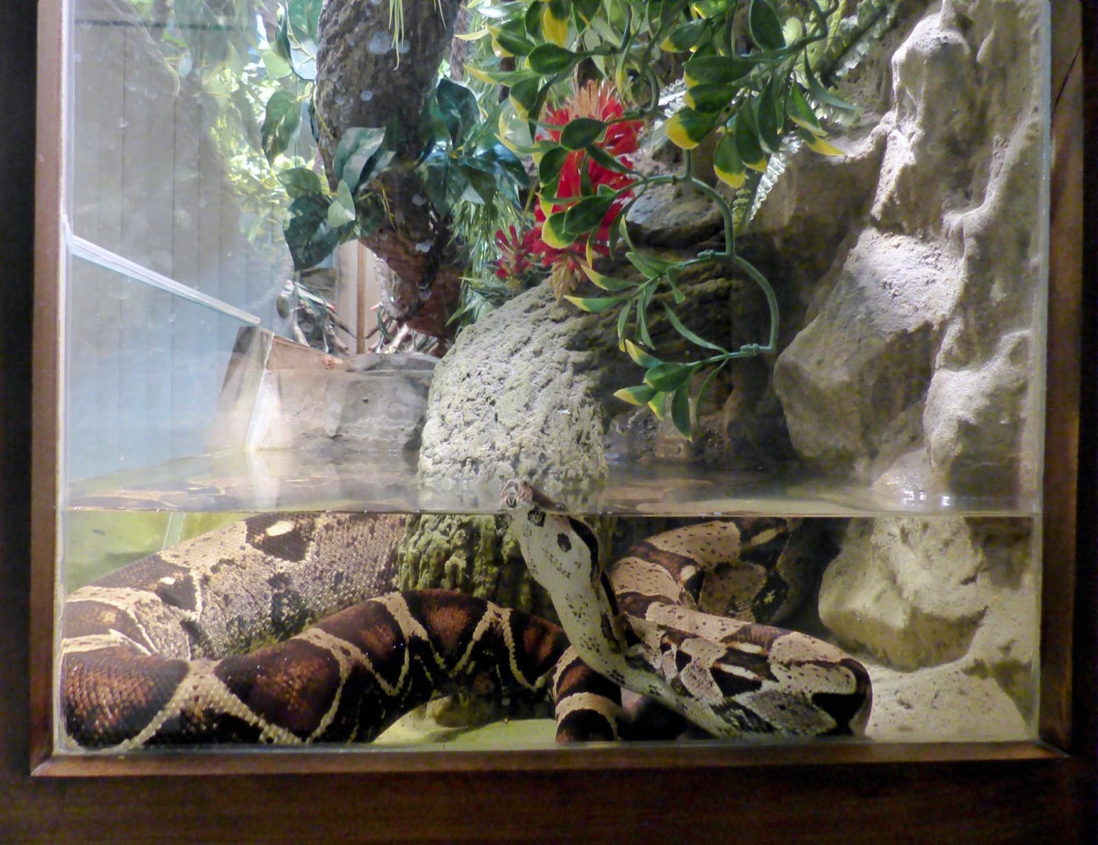 which is the best humid reader for ball pythons enclosure? 1 saw