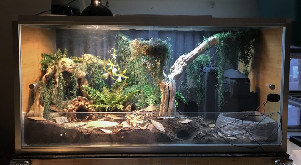 Product Review: Zen Habitats 4'x2'x2' Reptile Enclosure | ReptiFiles