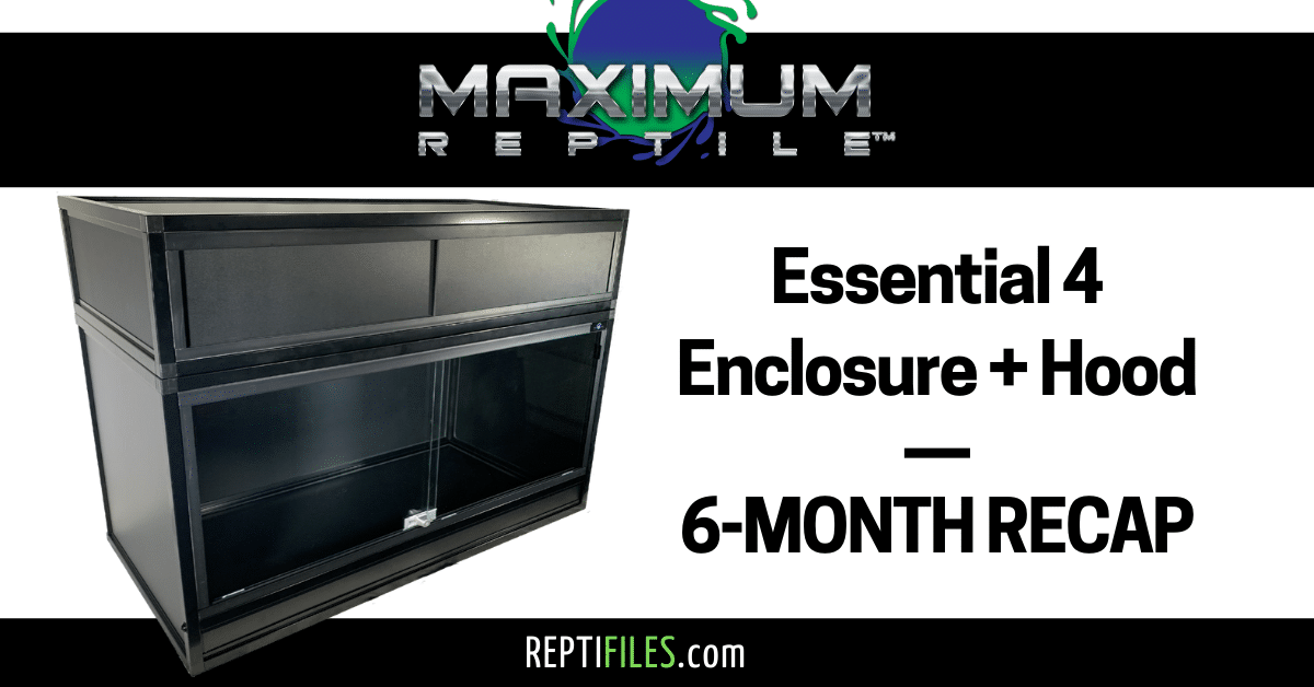 Product Review Custom Reptile Habitats Essential 4 Enclosure + Hood