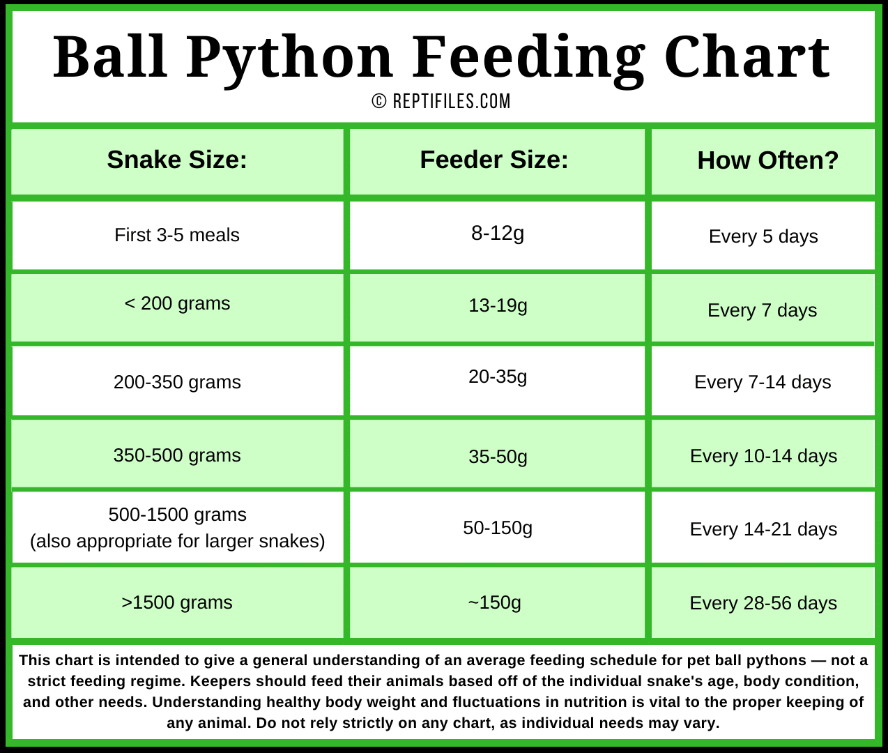 Ball Python Feeding Tips | ReptiFiles' Ball Python Care Guide